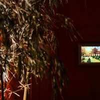 全台最美山林燈節的「龍崎光節 空山祭」以主題 山林呼喚 創作十四組藝術作品